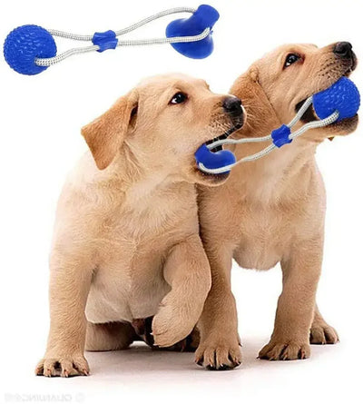 Tooth Cleaning Chewing Toy