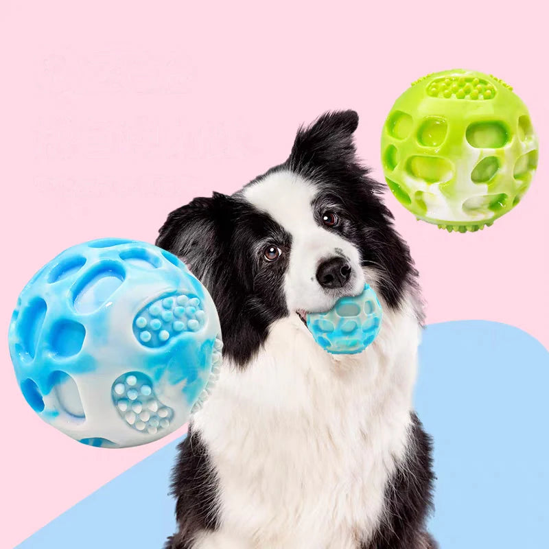 Outdoor training chew toys for dogs