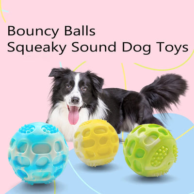Outdoor training chew toys for dogs