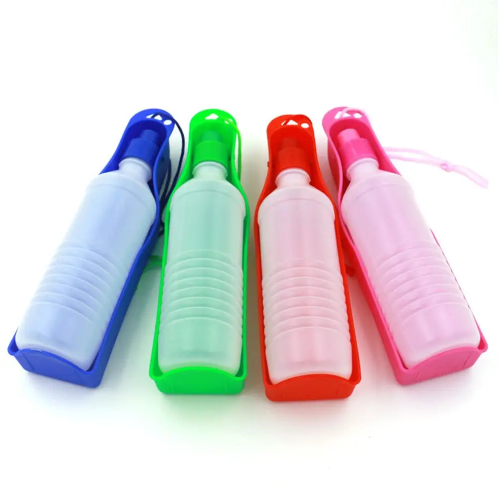 Leak-proof pet water bottle