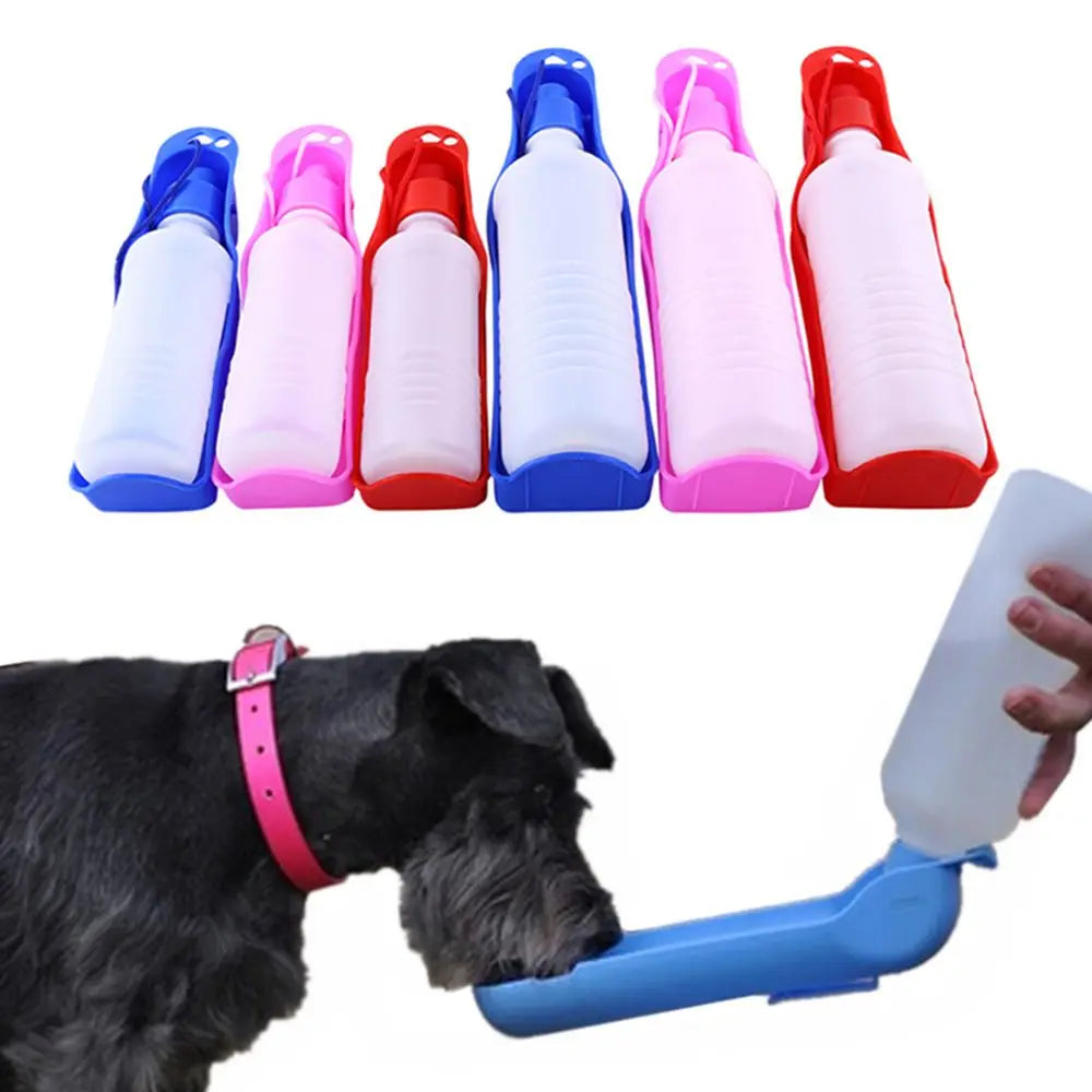 Leak-proof pet water bottle