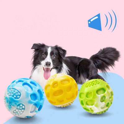 Outdoor training chew toys for dogs
