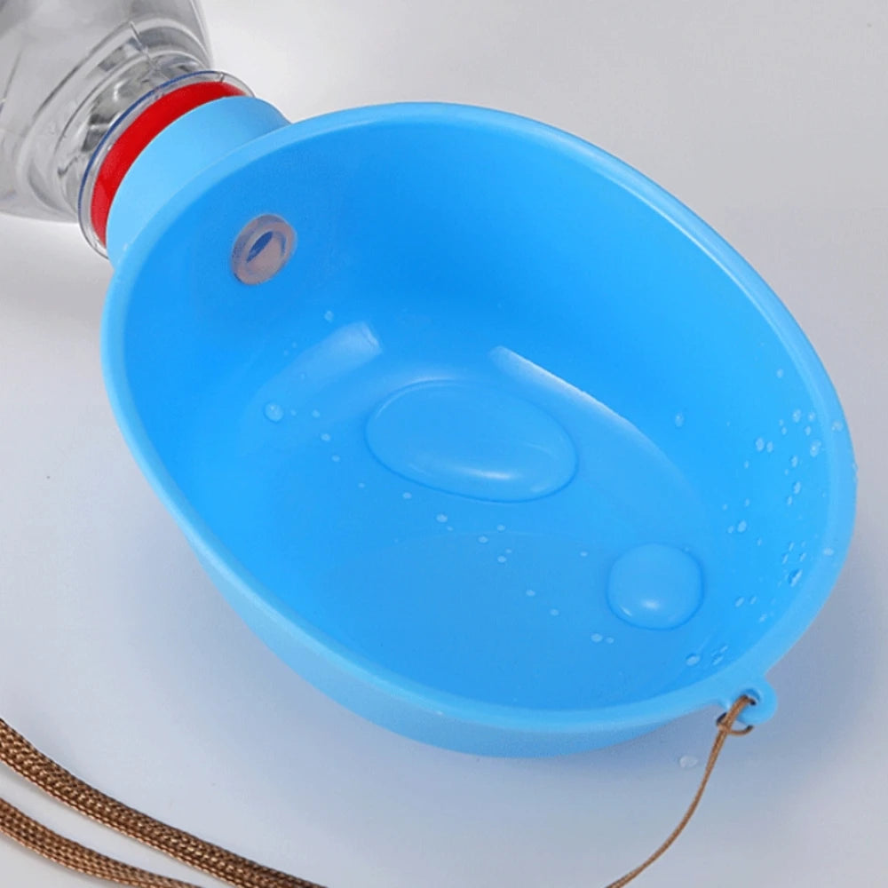 Travel dog water bowl