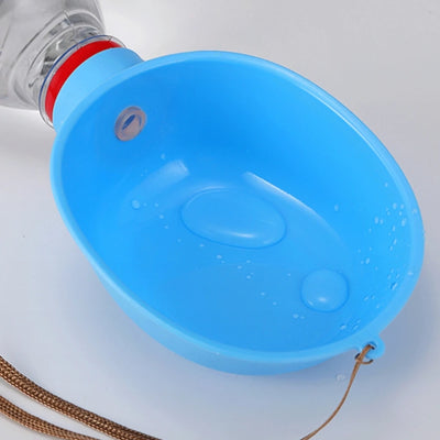 Travel dog water bowl