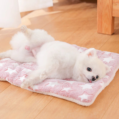 Pet Warm Sofa Kennel