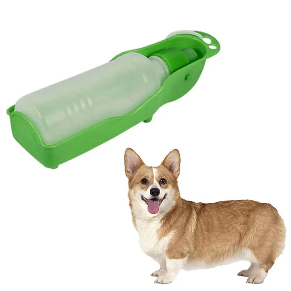 Leak-proof pet water bottle
