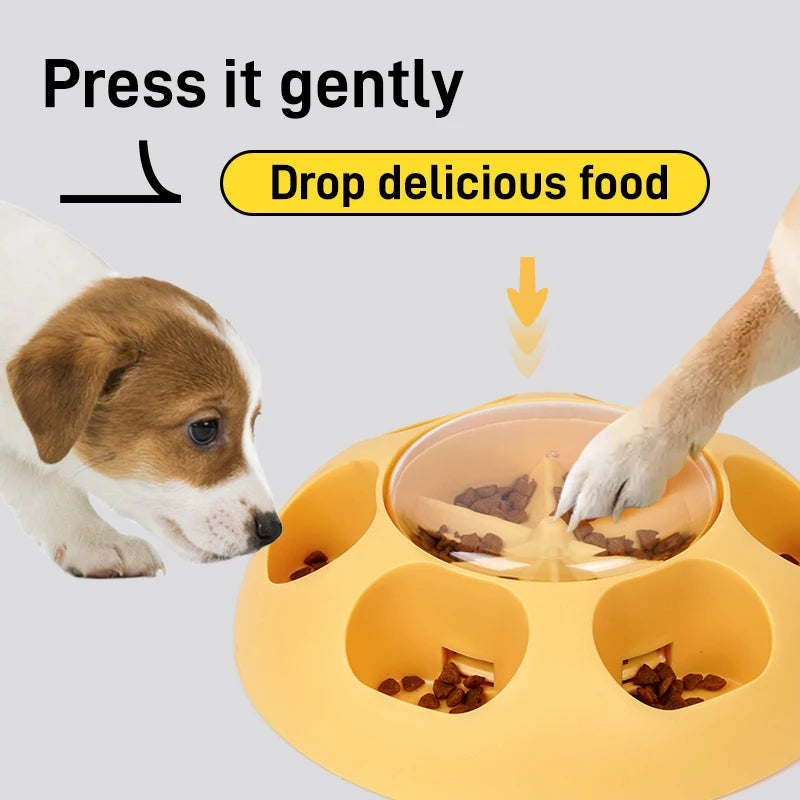 feeding puzzle feeder for healthy pets