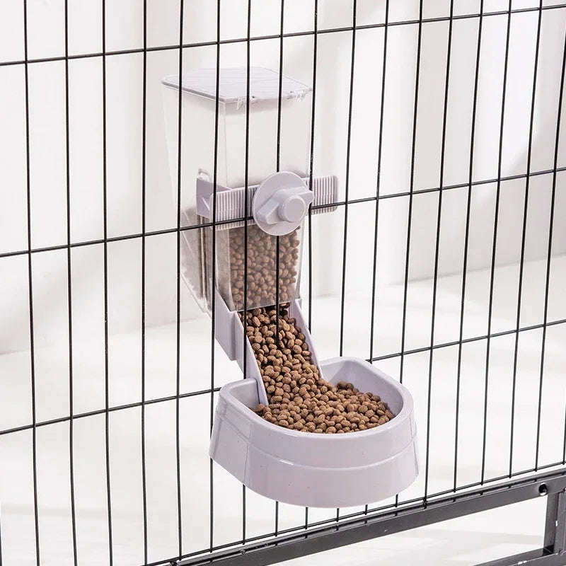 pet feeder with water bottle