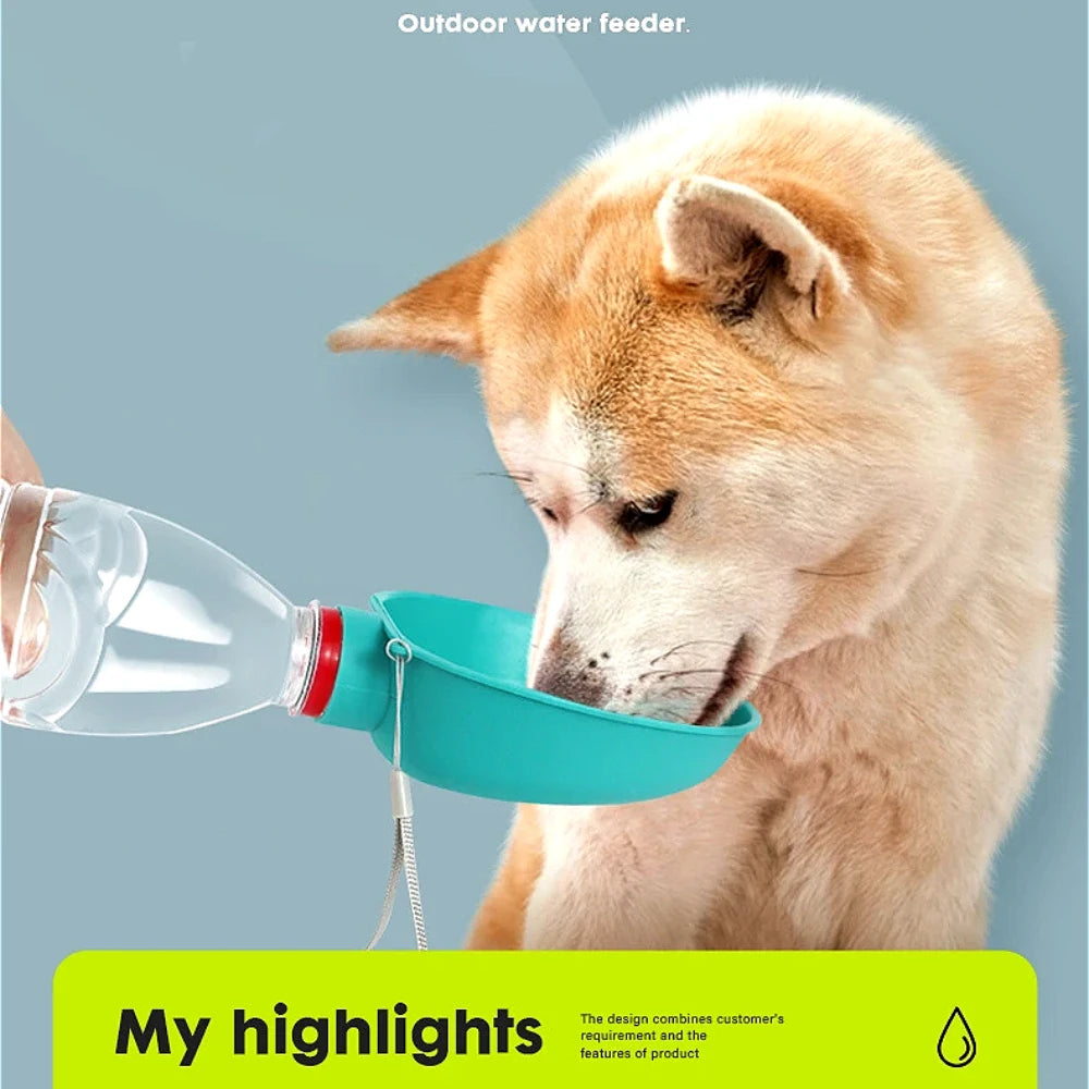 Travel dog water bowl