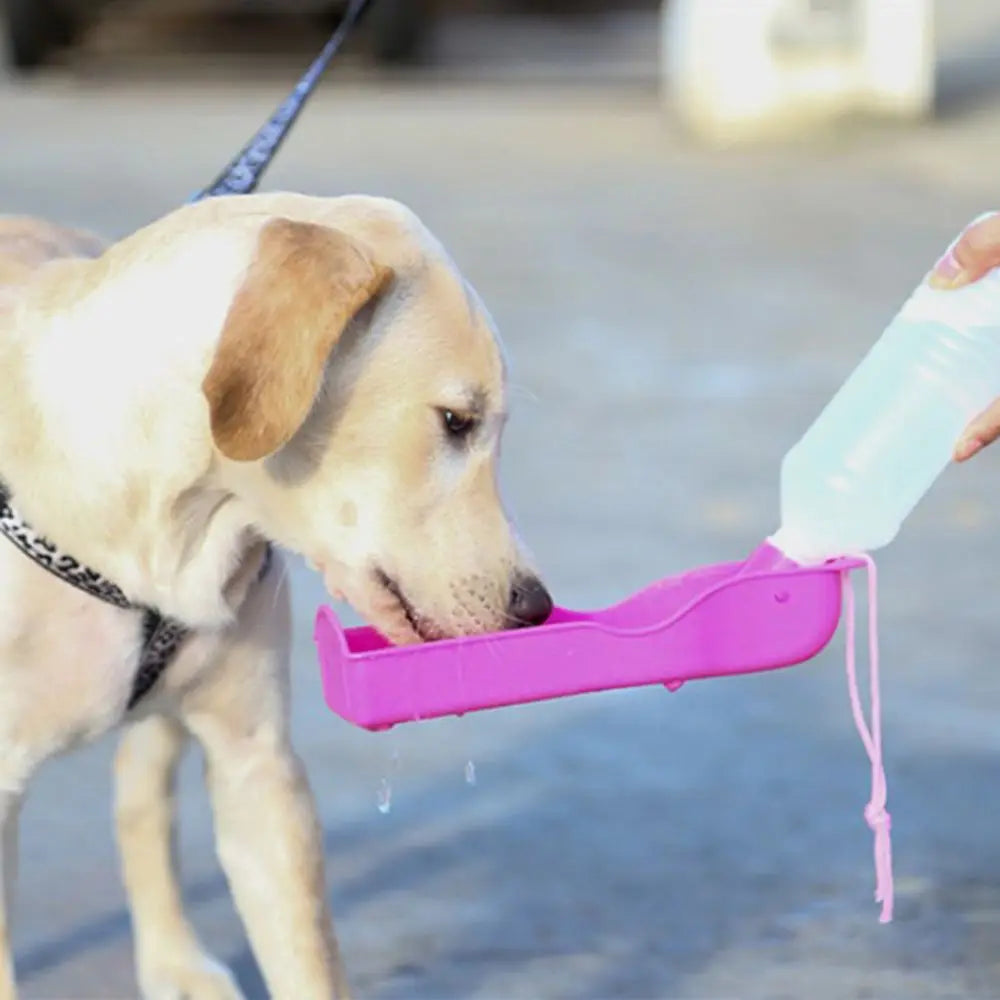 Leak-proof pet water bottle