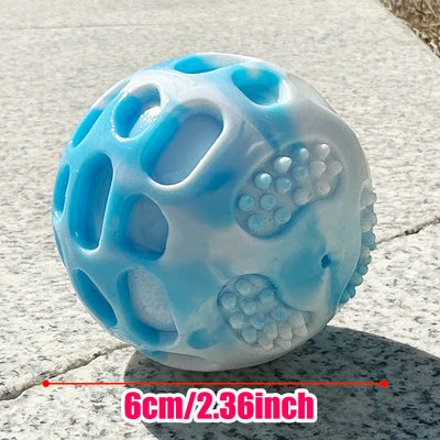 Outdoor training chew toys for dogs