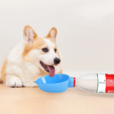 Travel dog water bowl