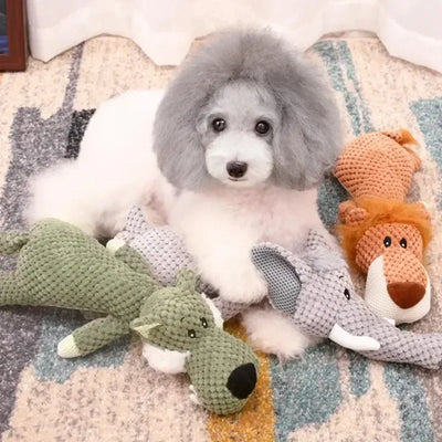 Large breed interactive squeak toys