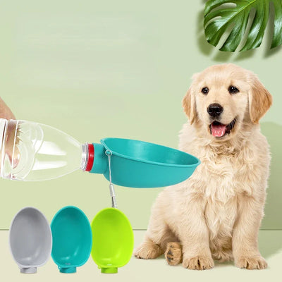 Travel dog water bowl