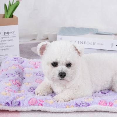 Pet Warm Sofa Kennel